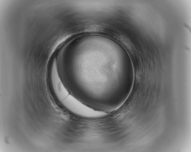 X0000094210724200710261210
