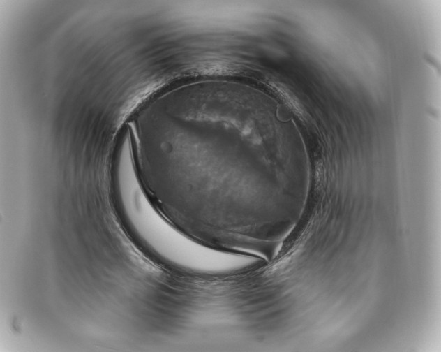 X0000094210725200710261210