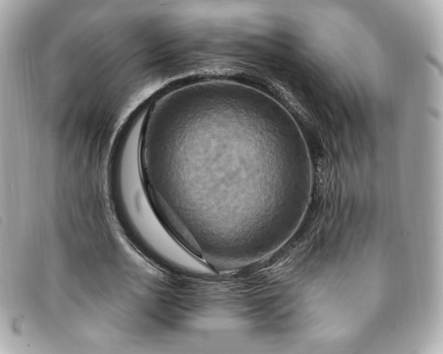 X0000094210726200710261210