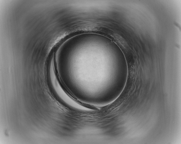X0000094210727200710261210