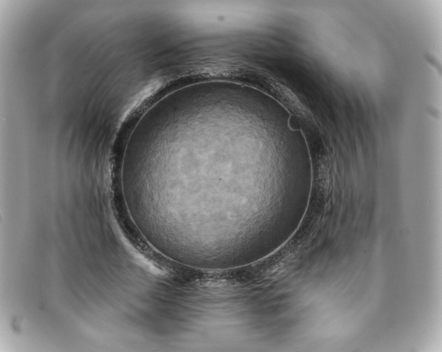 X0000094210730200710261210