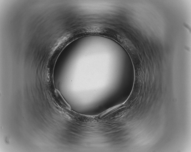 X0000094210731200710261210
