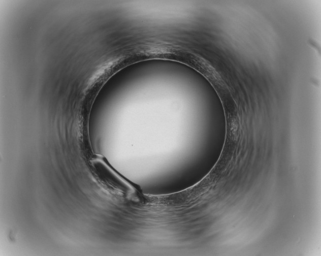 X0000094210732200710261210