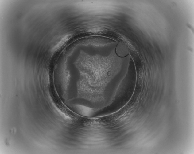 X0000094210734200710261210