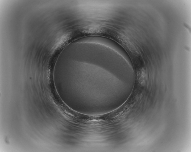 X0000094210735200710261210