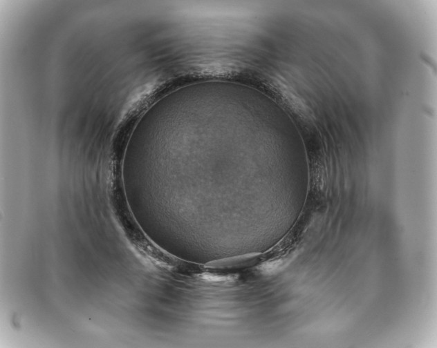 X0000094210736200710261210