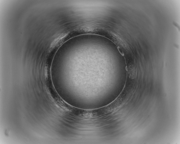 X0000094210740200710261210
