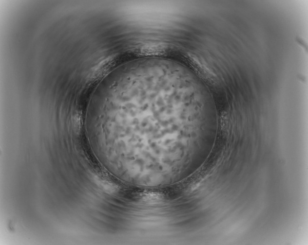 X0000094210741200710261210
