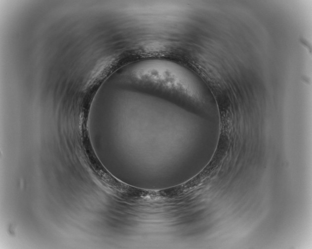 X0000094210742200710261210
