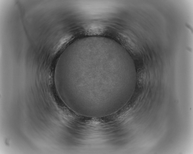 X0000094210743200710261210