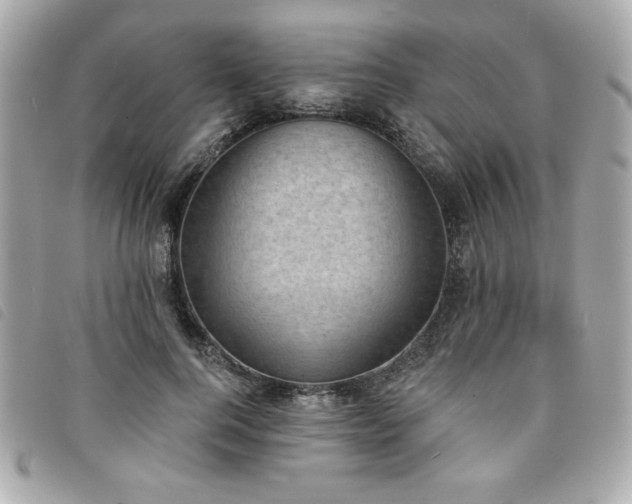 X0000094210744200710261210
