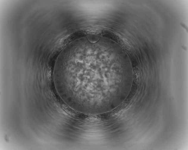 X0000094210745200710261210