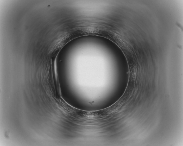 X0000094210746200710261210