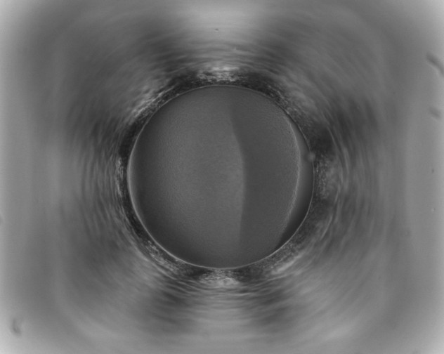 X0000094210747200710261210
