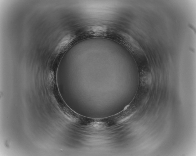 X0000094210748200710261210