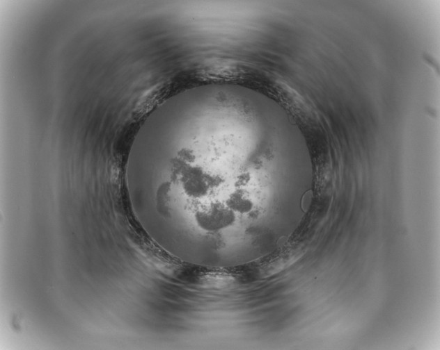 X0000094210749200710261210