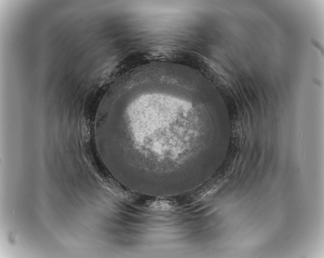 X0000094210751200710261210