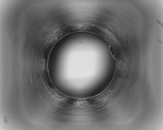 X0000094210752200710261210
