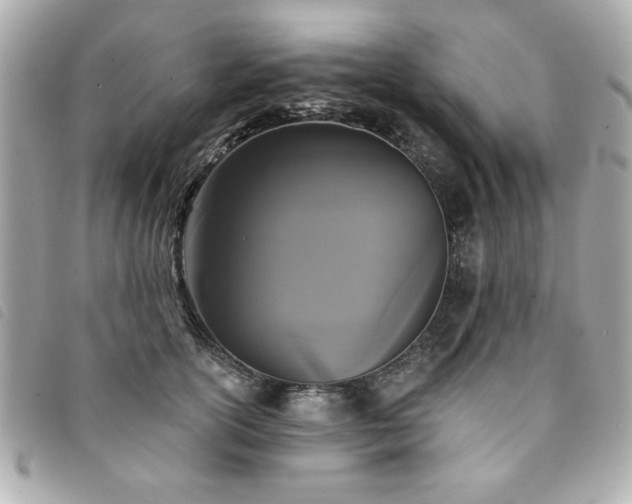 X0000094210754200710261210