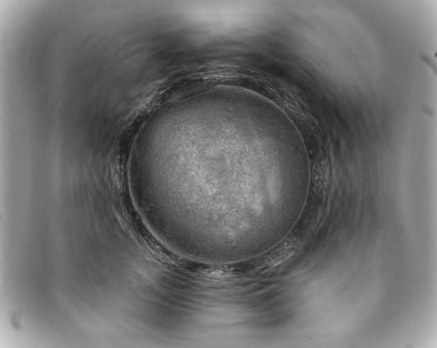 X0000094210755200710261210