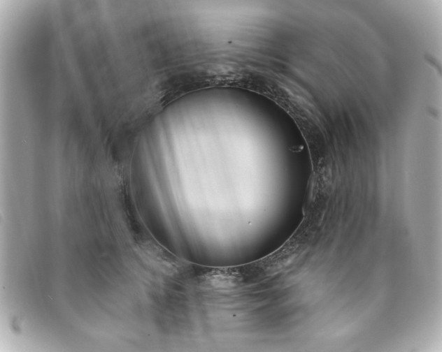 X0000094210756200710261210