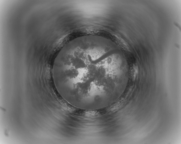 X0000094210757200710261210