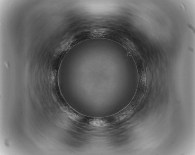X0000094210759200710261210