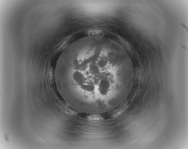X0000094210761200710261210