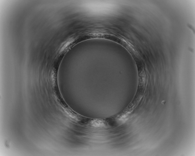X0000094210762200710261210
