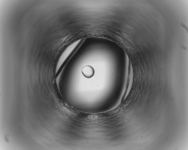 X0000094210764200710261210