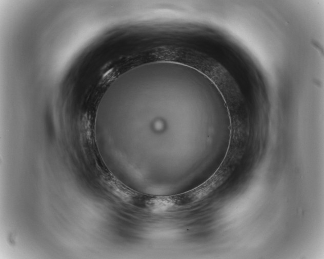 X0000094210765200710261210