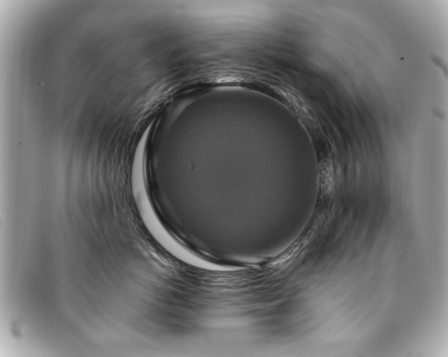 X0000094210766200710261210
