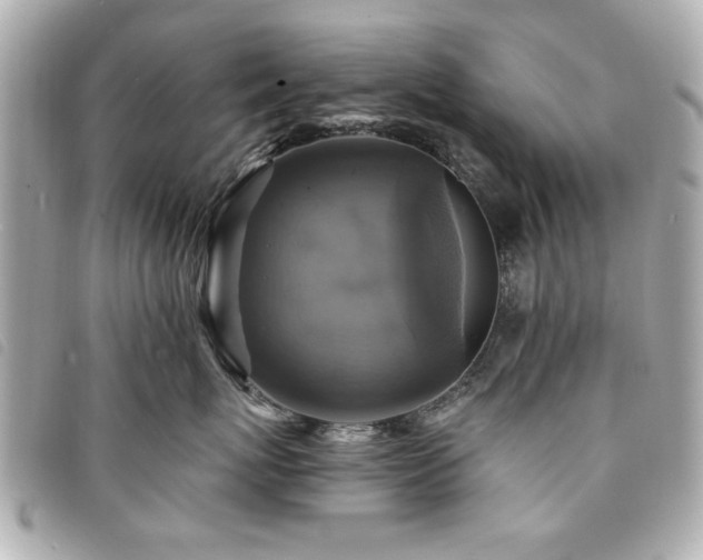 X0000094210767200710261210