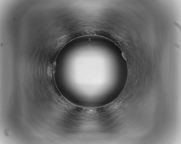 X0000094210768200710261210