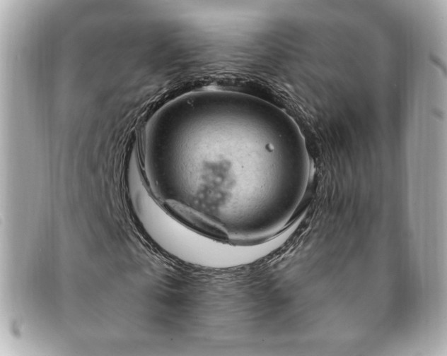 X0000094210769200710261210