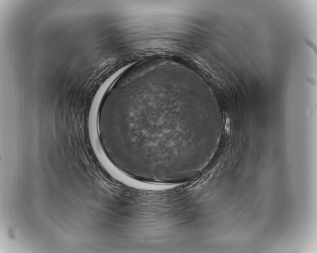 X0000094210771200710261210