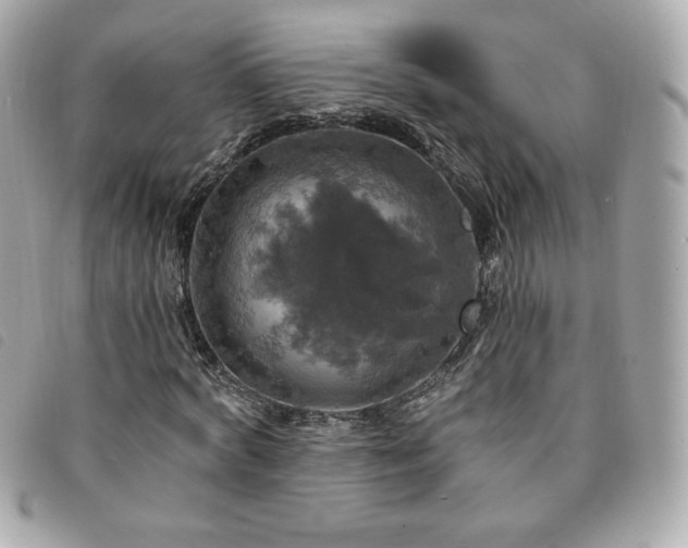 X0000094210772200710261210