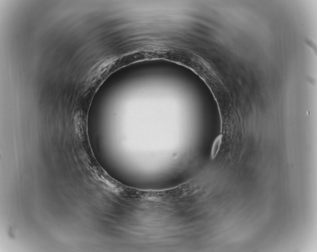 X0000094210773200710261210