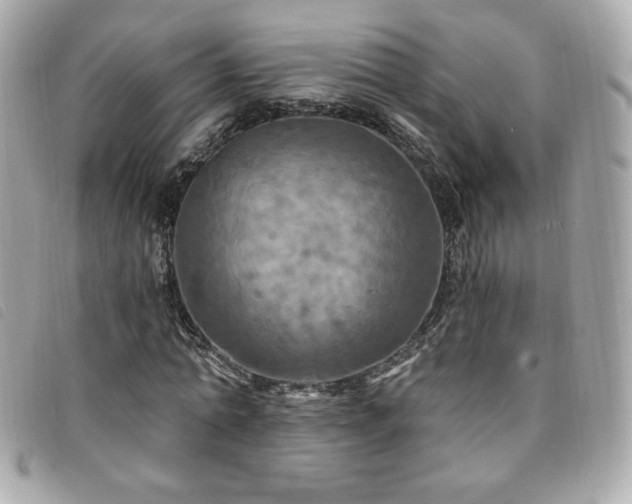 X0000094210774200710261210