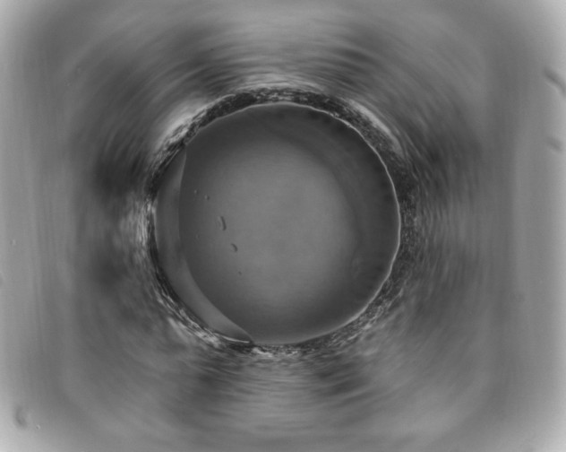 X0000094210775200710261210