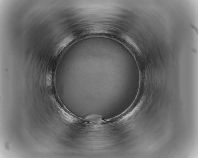 X0000094210777200710261210