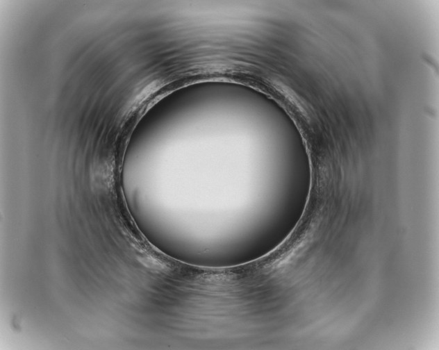 X0000094210778200710261210