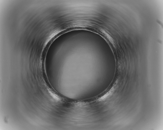 X0000094210779200710261210