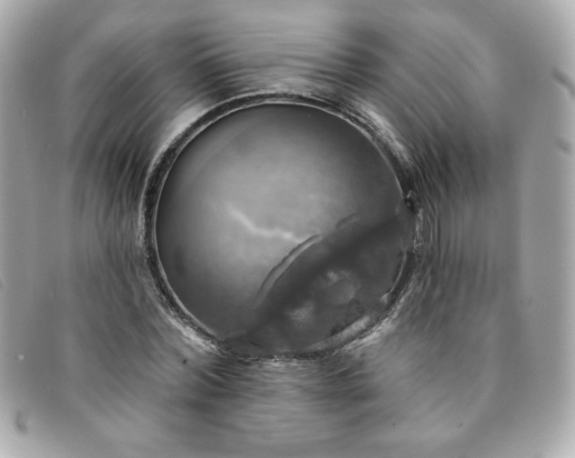 X0000094210780200710261210