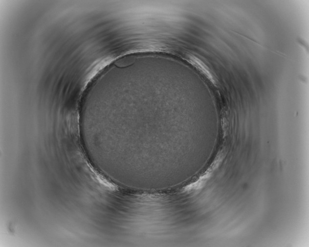 X0000094210781200710261210