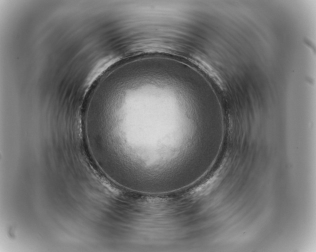 X0000094210782200710261210