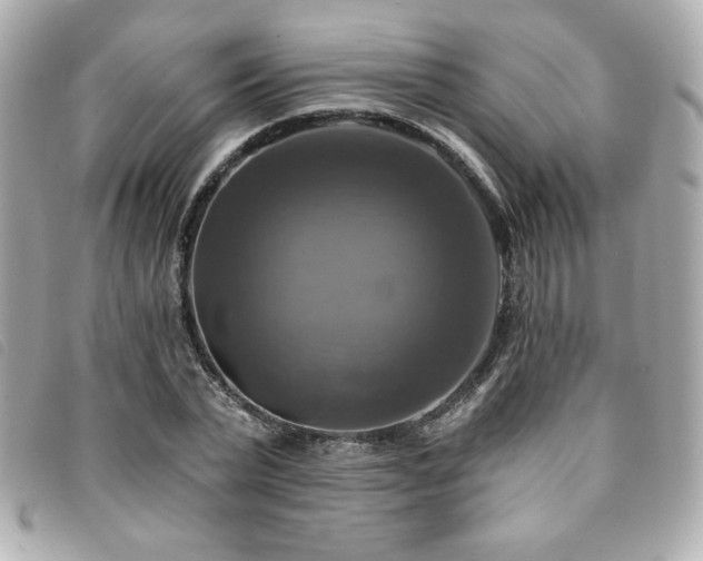 X0000094210783200710261210
