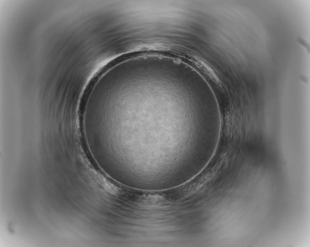X0000094210784200710261210
