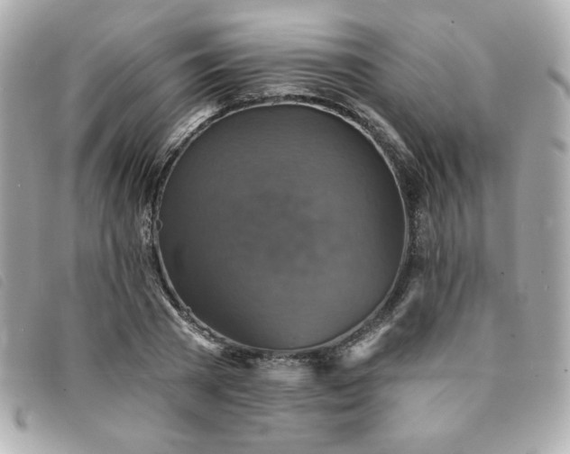 X0000094210785200710261210