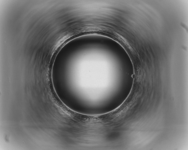 X0000094210786200710261210